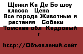 Щенки Ка Де Бо шоу класса › Цена ­ 60 000 - Все города Животные и растения » Собаки   . Томская обл.,Кедровый г.